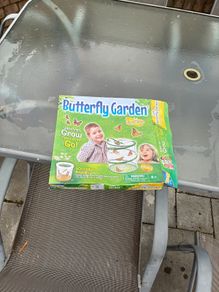 butterfly garden