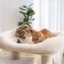 New XXL Cat Tower Play Centre - FREE Delivery Image 2