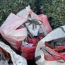 FREE Skip bags Image 3