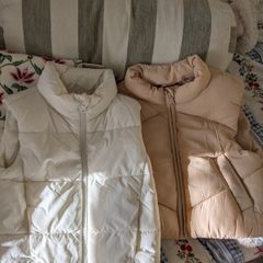 gilet