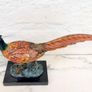 Pheasant (32 cm) - Cold Painted Bronze, Marble, Signed Image 4