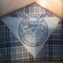Tommy Hilfiger short sleeved shirt in very good condition Image 5