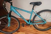 Apollo Bike Entice