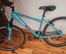 Apollo Bike Entice