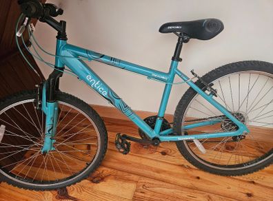 Apollo Bike Entice