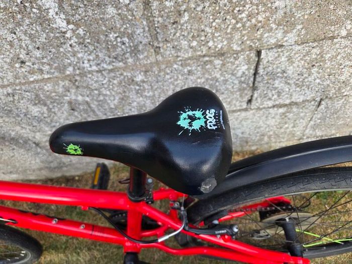 Frog Bike - 62