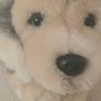 Adorable Husky Puppy Toy. Image 5