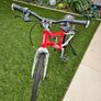 Red Woom 4 Kids Bike Barely Used for Boys and Girls Image 2
