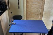 dog grooming table