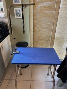 dog grooming table