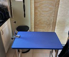 dog grooming table