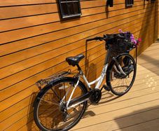 Apollo Elyse Comfort Series Ladies Bike