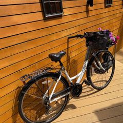 Apollo Elyse Comfort Series Ladies Bike