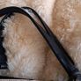 Edina Ronay Real Leather Cow Hide Large Bag Image 10