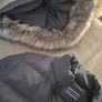 Tommy Hilfiger Puffer Down Jacket Image 10