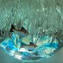 Two Dolphin and Ocean themed Paperweights Image 3