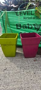 Garden Pots