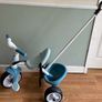 free trike Image 2