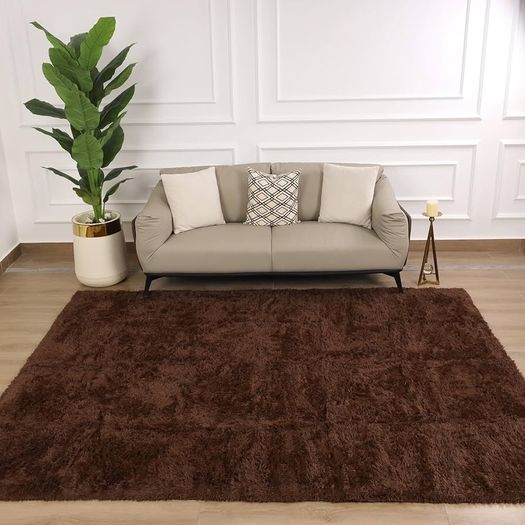 Rugs Living Room 120 x 170 cm  Fluffy Shaggy Brown Area Rugs for Bedroom, Lounge Super Soft Non Slip Rug Washable Modern Floor Carpets Bedside Rug for Kids Room