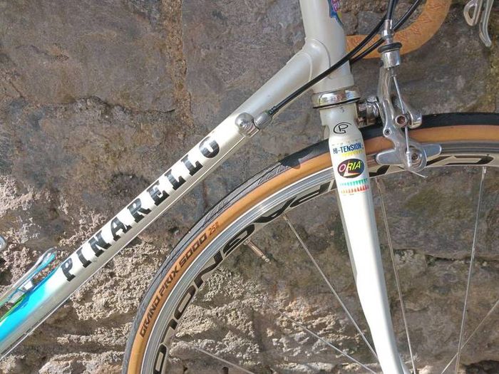 Pinarello Treviso 56cm Campagnolo Record 10 sp