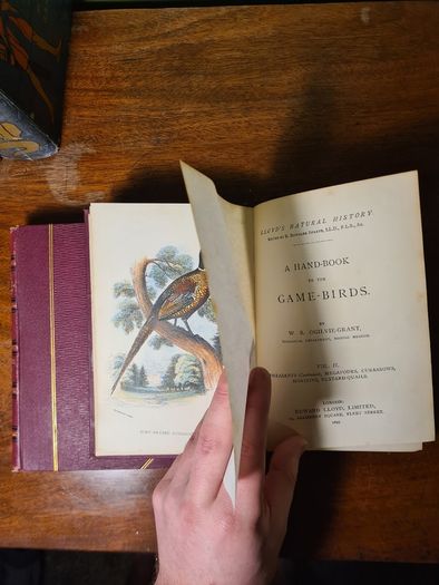 Scarce Lloyd's Natural History - 1896/7, 2 Vol. Set. Free Postage.