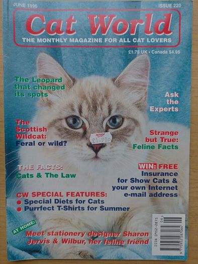 Cat World