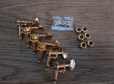guitar accessories tuners, footswitch, straplocks