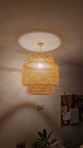 Rattan pendant light cover