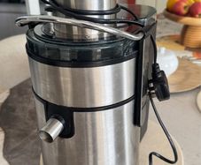 Fruit juicer