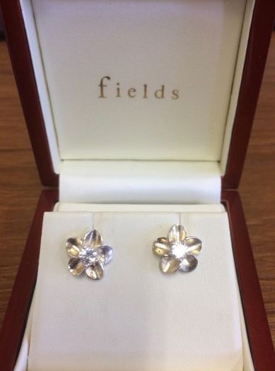 Sterling Silver Earring