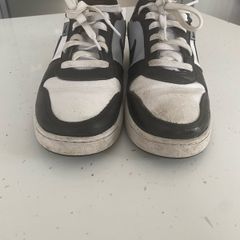 Nike dunks