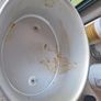 slow cooker Image 6