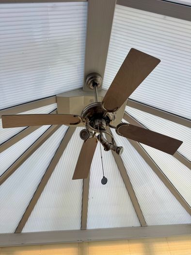 Ceiling fan with lights