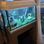 fish tank Image 5