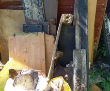 firewood