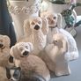 Lot Of King Charles Spaniels X 10 Image 4