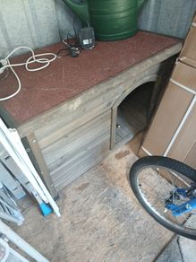 dog box