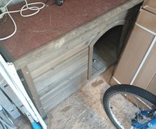 dog box