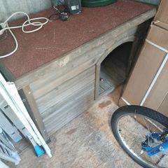 dog box