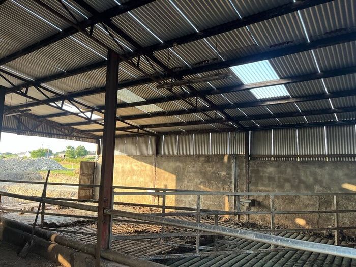 Cattle shed