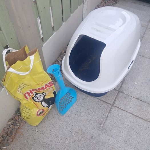 Cat Litter Tray and Scoop