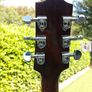 Loar Archtop Guitar Image 5
