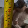 Willow Tree New Life Figurine Susan Lordi Carved Wood Parents and Baby Image 3