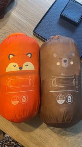 kids sleeping bag