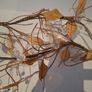 Gold Decorative Branches Image 5