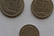 Polish Coins