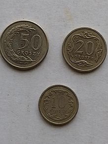 Polish Coins
