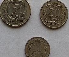 Polish Coins