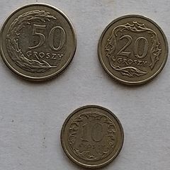 Polish Coins