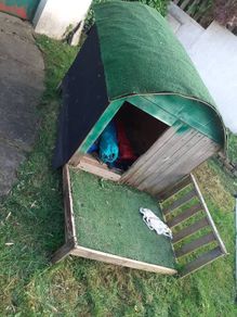 Dog House